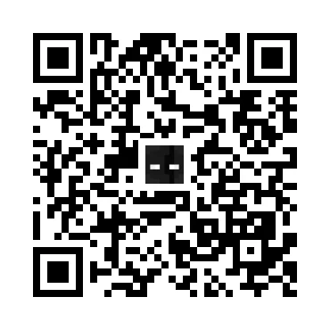 skins.qr_code_alt