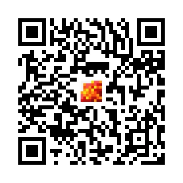skins.qr_code_alt