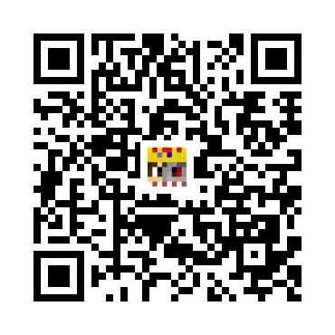 skins.qr_code_alt