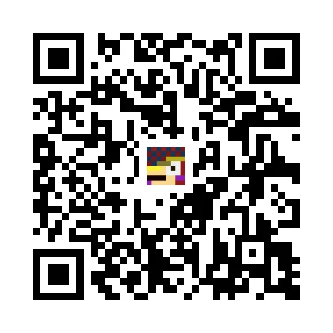skins.qr_code_alt
