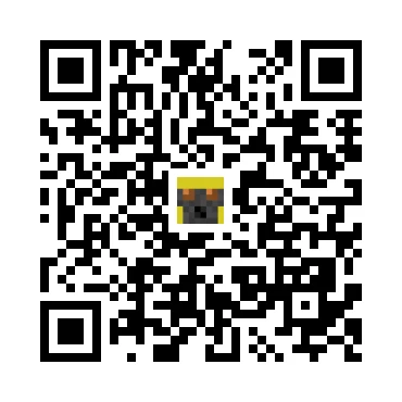 skins.qr_code_alt