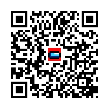 skins.qr_code_alt