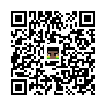 skins.qr_code_alt