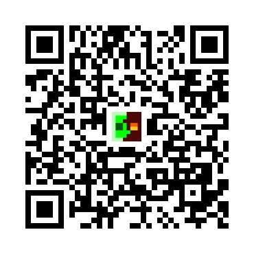 skins.qr_code_alt
