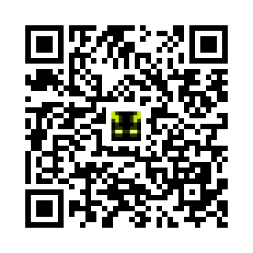 skins.qr_code_alt