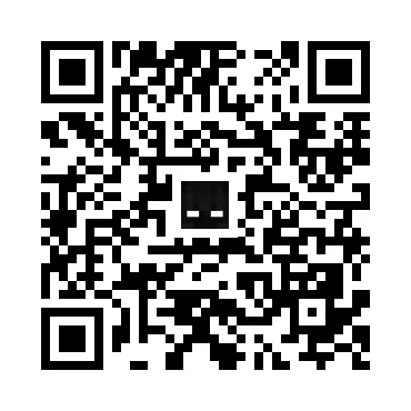 skins.qr_code_alt