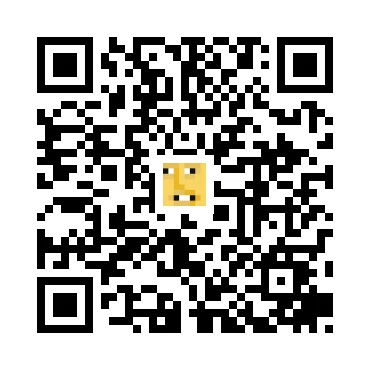 skins.qr_code_alt