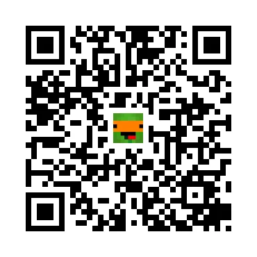 skins.qr_code_alt