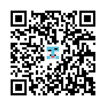 skins.qr_code_alt