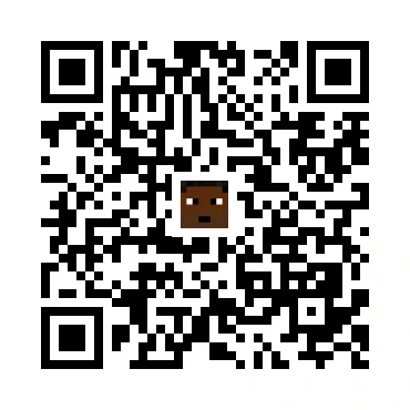 skins.qr_code_alt