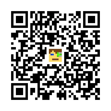 skins.qr_code_alt
