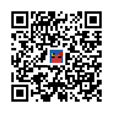 skins.qr_code_alt