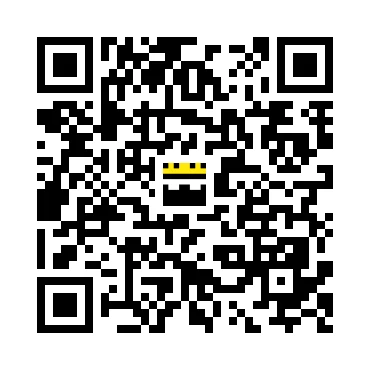 skins.qr_code_alt