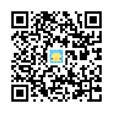 skins.qr_code_alt