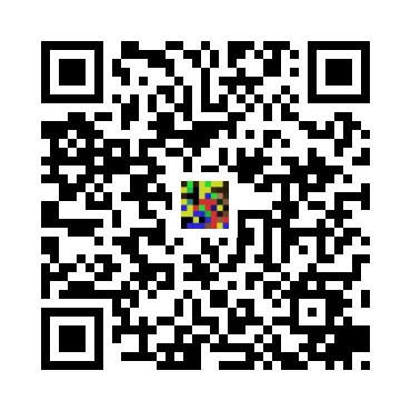 skins.qr_code_alt