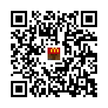 skins.qr_code_alt