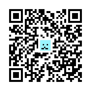 skins.qr_code_alt