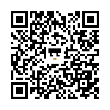 skins.qr_code_alt