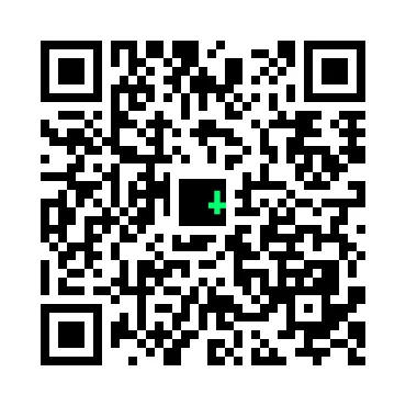 skins.qr_code_alt