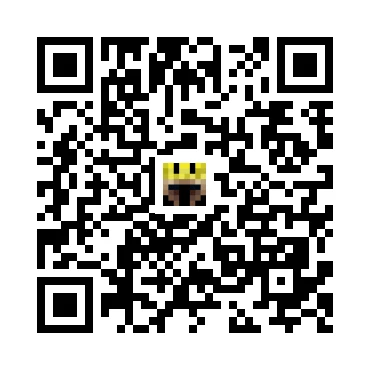 skins.qr_code_alt