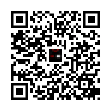 skins.qr_code_alt