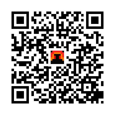 skins.qr_code_alt
