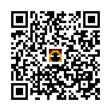 skins.qr_code_alt
