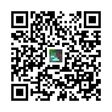 skins.qr_code_alt