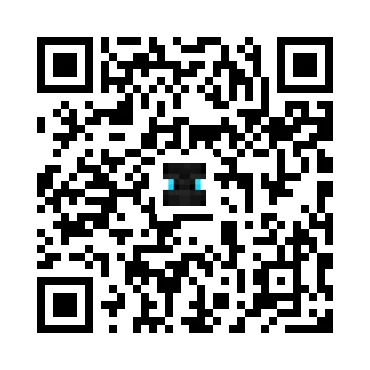 skins.qr_code_alt