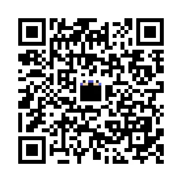 skins.qr_code_alt