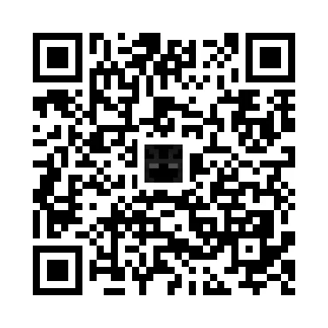 skins.qr_code_alt