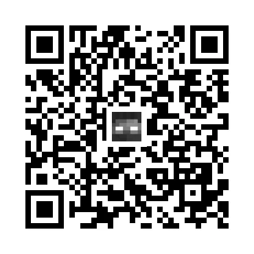 skins.qr_code_alt