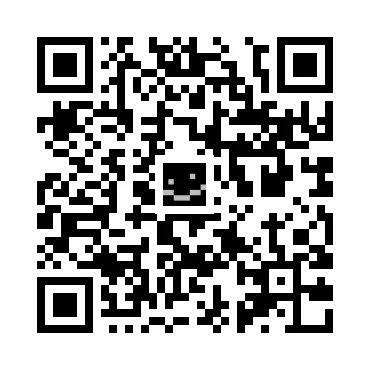 skins.qr_code_alt