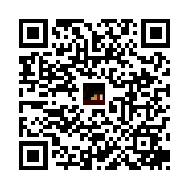 skins.qr_code_alt