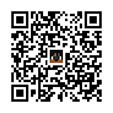 skins.qr_code_alt