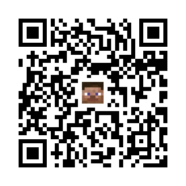 skins.qr_code_alt