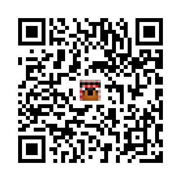 skins.qr_code_alt