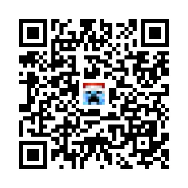 skins.qr_code_alt