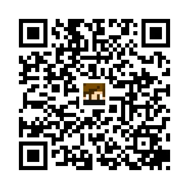 skins.qr_code_alt
