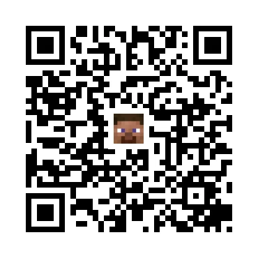 skins.qr_code_alt