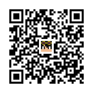 skins.qr_code_alt