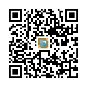 skins.qr_code_alt