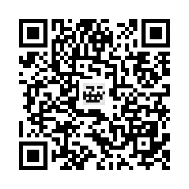 skins.qr_code_alt