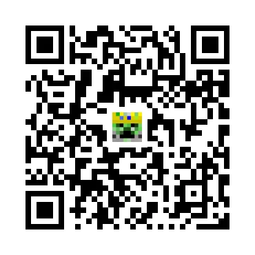 skins.qr_code_alt