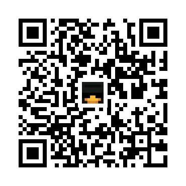 skins.qr_code_alt