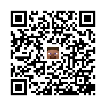 skins.qr_code_alt