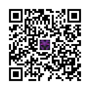 skins.qr_code_alt