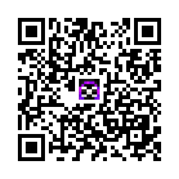 skins.qr_code_alt
