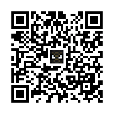 skins.qr_code_alt