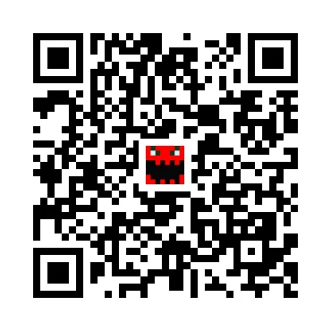 skins.qr_code_alt